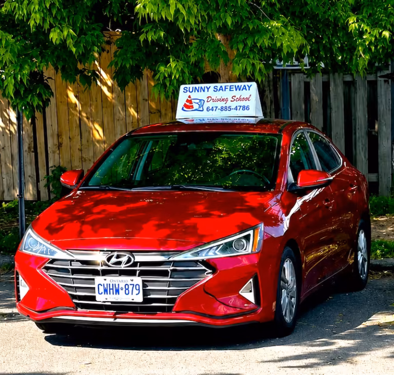 Sunny Safeway Driving School Cas 2